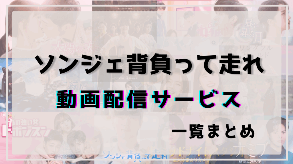 ソンジェ背負って走れ,配信,ネトフリ